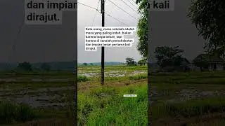Kata orang masa sekolah itu #shorts #quotes #catatanmotivasi #storywa30detikgalau #storyharian