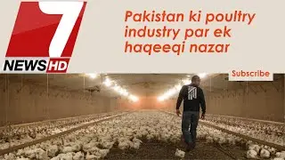 Pakistan ki poultry industry par ek haqeeqi nazar #7news #poultryfarming #industry #business #news