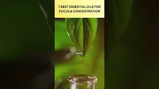 7 Best Essential Oils for Focus & Concentration