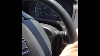 Pig vs car