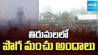 Beauty Of Fog In Tirumala | Devotees Rush Temples In The Occasion Of Vaikuntha Ekadashi & New Year