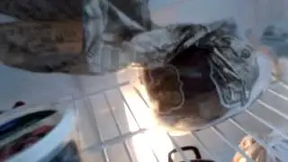 video 2014 08 08 08 35 45