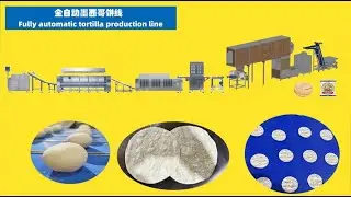 See How Flour Tortillas Are Made  8 Pocket Divider Rounder Line at Factory Scale