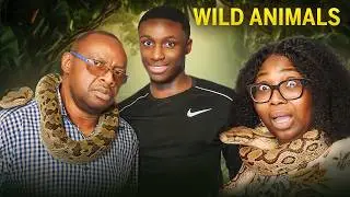 Try Not To Move Challenge With African Parents!