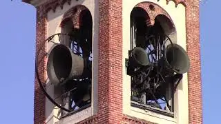 Le campane di Busto Garolfo (MI) - Distesa (2)