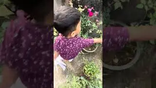 Mini Village blogs#native place#blog long video#home village video#green tree on home#garden view 