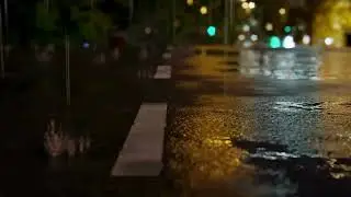 Light rain, wet streets, asphalt reflections, and soft city lights during a 12hour soothing downpour