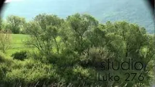 Studio.276 - 106 - 2012 - 13 - Moto The Borinka 2 - 2012