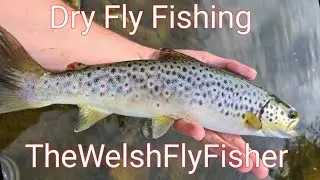 Dry fly fishing - Welsh river