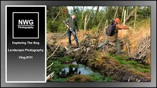 Exploring The Bog, Vlog - Landscape Photography - Vlog #112