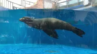 サンシャイン水族館_asoview!