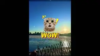 The Ice is Real Today 🧊 Crossing a Frozen NY Harbor (Rare Ice Event)