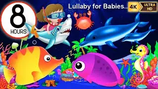 Sleep Instantly Within 3 Minutes ♥ Mozart Brahms Lullaby ♫ Lullaby for Babies to Go to Sleep #418