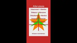IMAGO-SONIC Attention (Attenzione) note B-E-G (SI-MI-SOL) 430,5 Hz