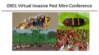 0901 Invasive Pest MiniConference