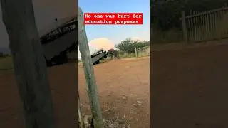 winning is not for every time #shorts#viral #zoo #africa #safari #education