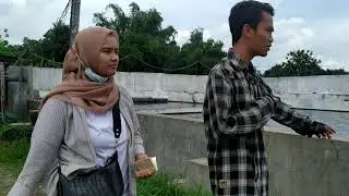 Agribisnis Kelautan dan Perikanan || Usaha Budidaya Ikan Lele