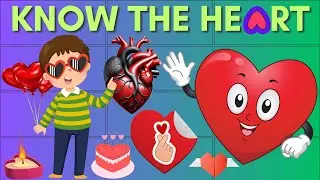 &hearts;️ Heart Shape Explained: Educational Video for Kids | Learn Love & Anatomy | #TopKidsLearning 💏