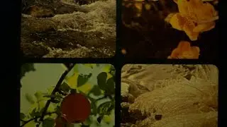 Koichi Oki - Summer 2 (1973)