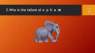 Elephant Quiz