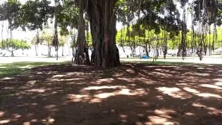 Dave's vine grab