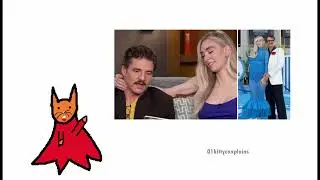Cat Explains Pedro Pascal Meme Controversy