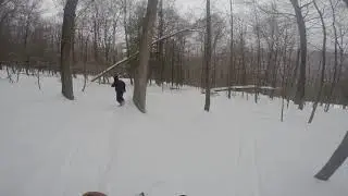 Bristol Mt ....tree run