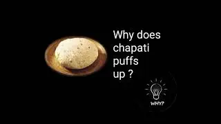 WHY does chapati puff up?