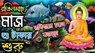 Serampore pet market sunday।serampore pet market।aquarium fish market hooghly।fish market serampore 