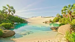 OASIS IN THE DESERT | Desert ambience, sounds and music