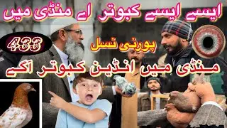 433) Lahore lari ada kabootar mandi || کبوتر منڈی || #amjadaliofficial 