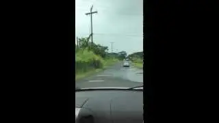 Hilo Hawaii 808 Life