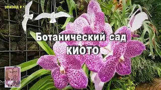 🇯🇵 100 летний сад