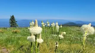 North Chilco Mountain