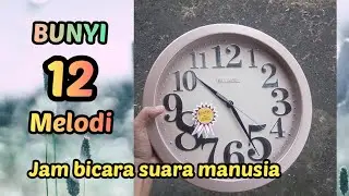 BUNYI 12 MELODI SUARA MANUSIA | ADA JAM BISA BICARA⁉️