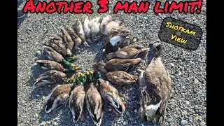 ANOTHER 3-Man Limit! - Mallard Beat Down and More. Shotkam View (Oregon Day 2: 12/12/2025)