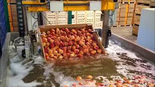 Bin Dumper in Water line