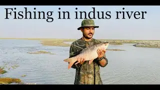 Fishing in pakistan indus river