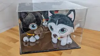 Display Your Treasures in THIS Acrylic Display Case