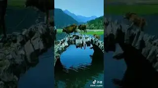 An ancient Chinese clapper bridge in Jiangxi province! Question is how this stone bright was built!