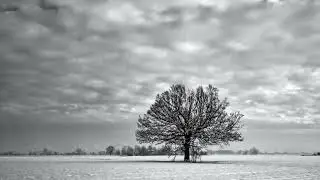 Dark Aesthetic TV Art Screensaver Black and White Art