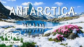 Peaceful Antarctica 8K | Lemaire Channel, Paradise Harbor & Antarctic Peninsula Cinematic Relaxation