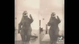 Haven&rsquo;t Got a Hat (TikTok)