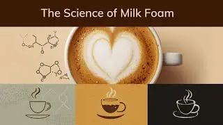 The Science of Milk Foam - by Coffee Picks