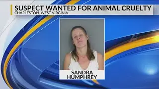 Charleston woman sought by humane officers; facing 12 counts of animal cruelty