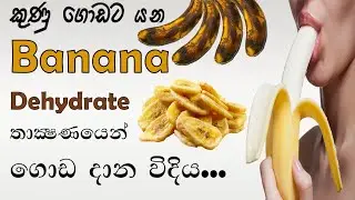 Over Ripened Bananas Dehydration Technology   වැඩිපුර ඉදුණු කෙසෙල් විජලනය