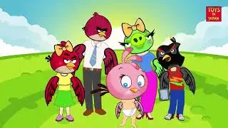 Finger Family ANGRY BIRDS iBIRD Nursery Rhymes for Children