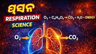 Human Respiratory System in Odia | Manisara Swasatantra |Science 