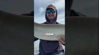 Unbelievable! FIRST Figure 8 Muskie Ever!! He Caught a GIANT!  #shorts