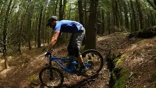 Mountain Bike Local Flavors of Davis, West Virginia